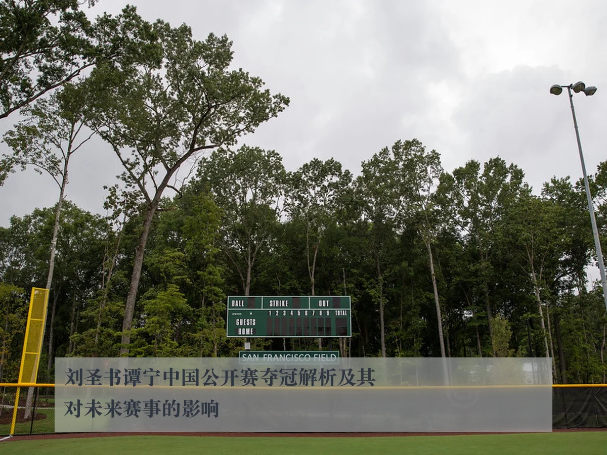 刘圣书谭宁中国公开赛夺冠解析及其对未来赛事的影响